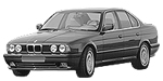 BMW E34 P0CBB Fault Code