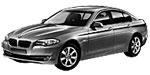 BMW F10 P0CBB Fault Code